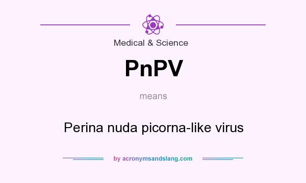 What does PnPV mean? It stands for Perina nuda picorna-like virus