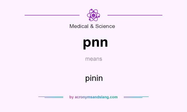 What does pnn mean? It stands for pinin