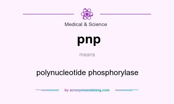 What does pnp mean? It stands for polynucleotide phosphorylase