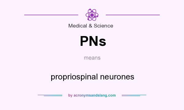 What does PNs mean? It stands for propriospinal neurones
