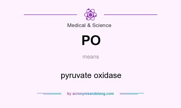 What does PO mean? It stands for pyruvate oxidase