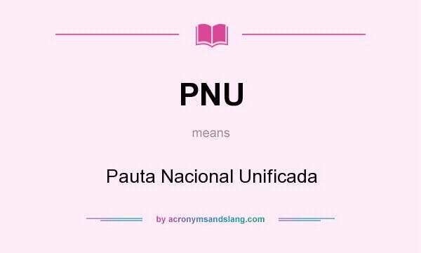 What does PNU mean? It stands for Pauta Nacional Unificada