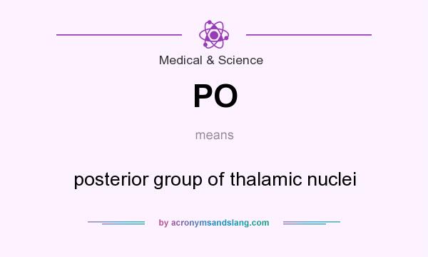 What does PO mean? It stands for posterior group of thalamic nuclei
