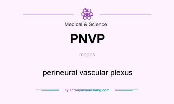 What does PNVP mean? It stands for perineural vascular plexus