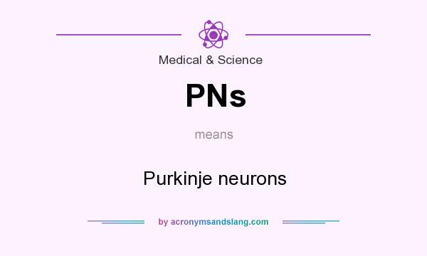 What does PNs mean? It stands for Purkinje neurons