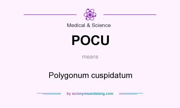 What does POCU mean? It stands for Polygonum cuspidatum