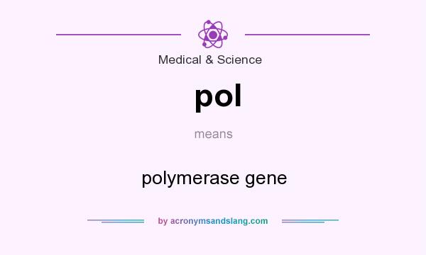 What does pol mean? It stands for polymerase gene