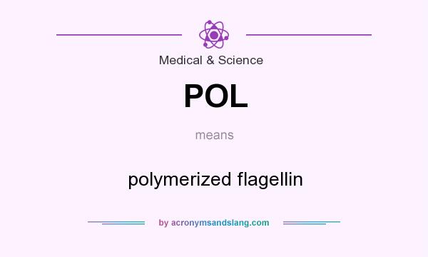 What does POL mean? It stands for polymerized flagellin
