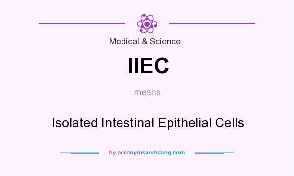 What does IIEC mean? It stands for Isolated Intestinal Epithelial Cells