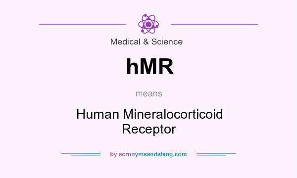 What does hMR mean? It stands for Human Mineralocorticoid Receptor