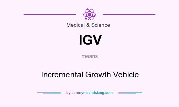 What does IGV mean? It stands for Incremental Growth Vehicle