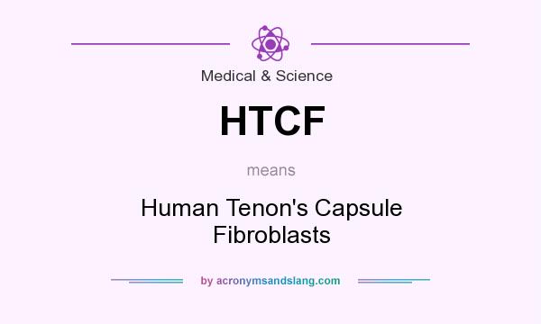 What does HTCF mean? It stands for Human Tenon`s Capsule Fibroblasts