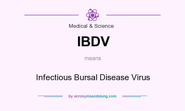 What does IBDV mean? It stands for Infectious Bursal Disease Virus