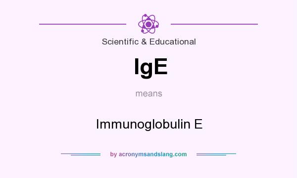 What does IgE mean? It stands for Immunoglobulin E