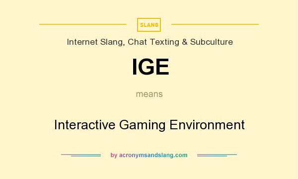 What does IGE mean? It stands for Interactive Gaming Environment