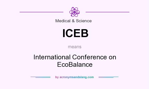 What does ICEB mean? It stands for International Conference on EcoBalance