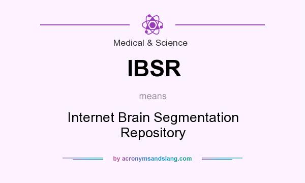 What does IBSR mean? It stands for Internet Brain Segmentation Repository