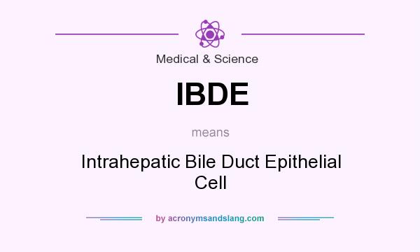 What does IBDE mean? It stands for Intrahepatic Bile Duct Epithelial Cell