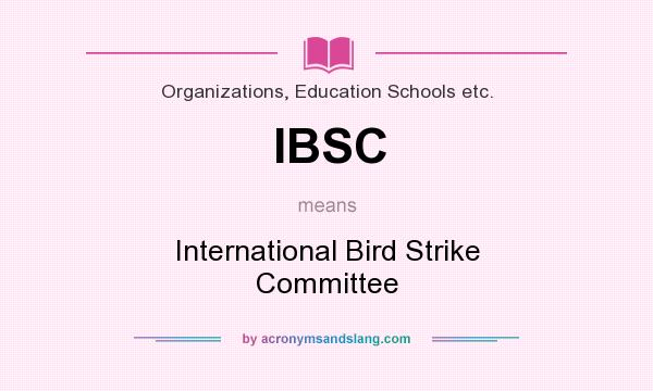 What does IBSC mean? It stands for International Bird Strike Committee
