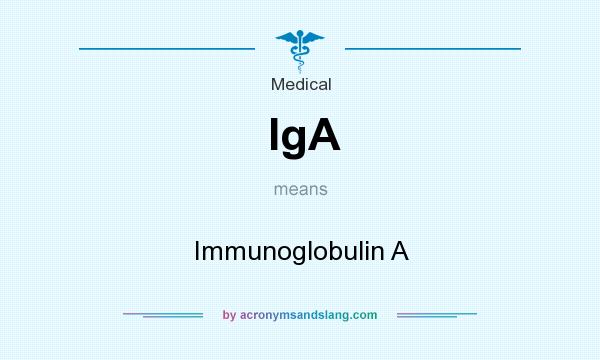 What does IgA mean? It stands for Immunoglobulin A