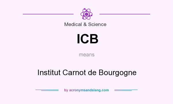 What does ICB mean? It stands for Institut Carnot de Bourgogne
