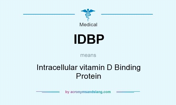 What does IDBP mean? It stands for Intracellular vitamin D Binding Protein