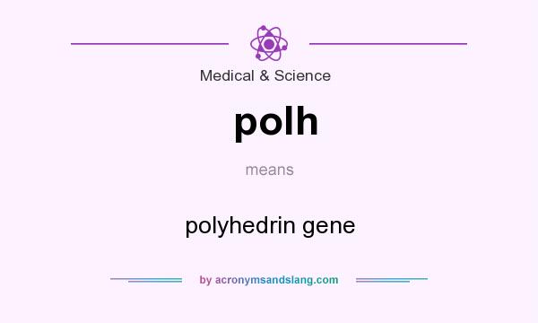 What does polh mean? It stands for polyhedrin gene