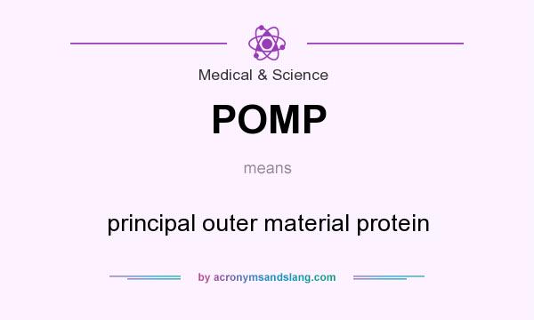 What does POMP mean? It stands for principal outer material protein
