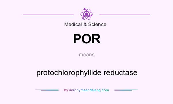What does POR mean? It stands for protochlorophyllide reductase