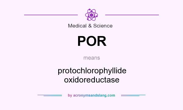 What does POR mean? It stands for protochlorophyllide oxidoreductase