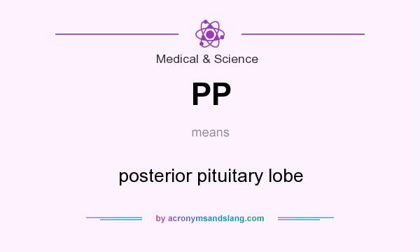 What does PP mean? It stands for posterior pituitary lobe