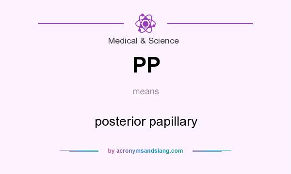 What does PP mean? It stands for posterior papillary