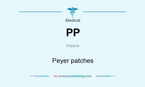 What does PP mean? It stands for Peyer patches