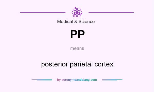 What does PP mean? It stands for posterior parietal cortex