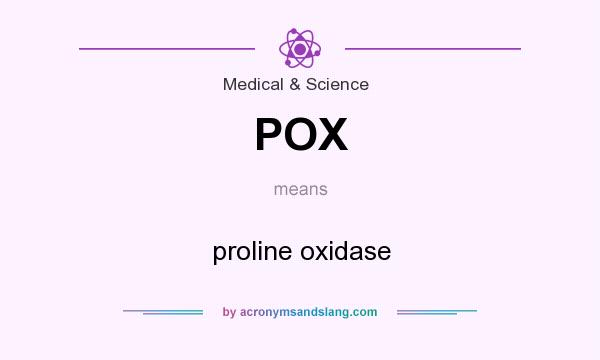 POX Proline Oxidase In Medical Science By AcronymsAndSlang