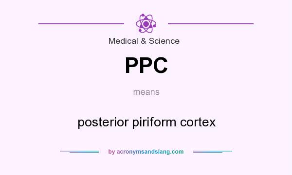 What does PPC mean? It stands for posterior piriform cortex