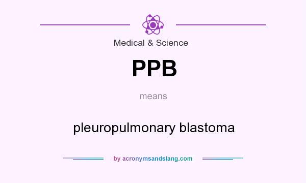 What does PPB mean? It stands for pleuropulmonary blastoma