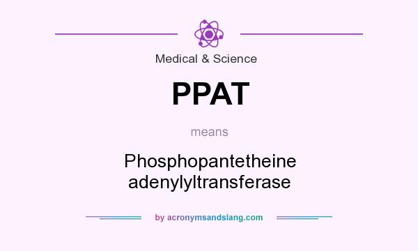What does PPAT mean? It stands for Phosphopantetheine adenylyltransferase