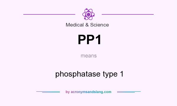 What does PP1 mean? It stands for phosphatase type 1