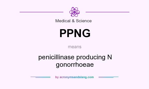 What does PPNG mean? It stands for penicillinase producing N gonorrhoeae