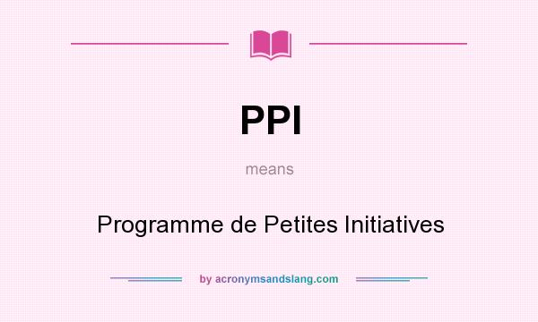 What does PPI mean? It stands for Programme de Petites Initiatives