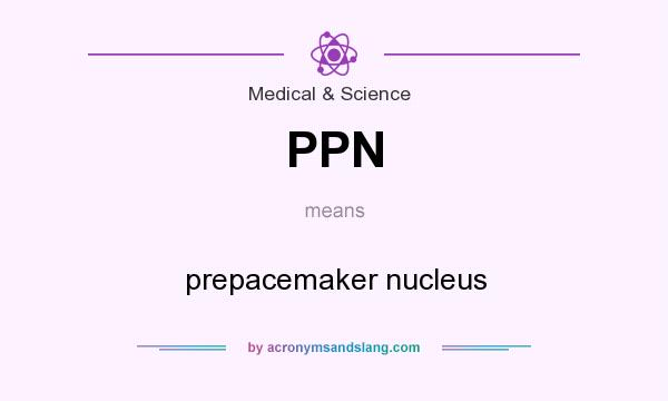 What does PPN mean? It stands for prepacemaker nucleus