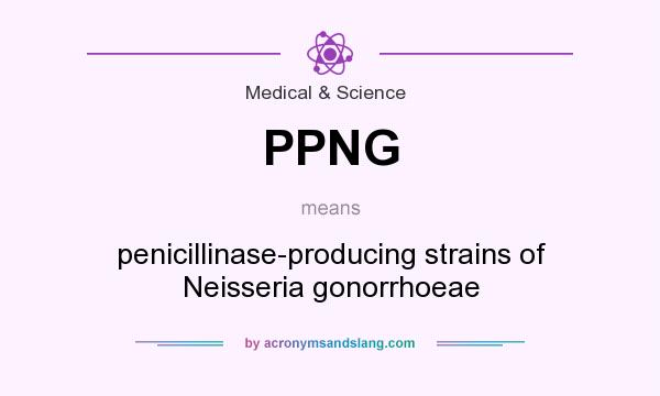 What does PPNG mean? It stands for penicillinase-producing strains of Neisseria gonorrhoeae