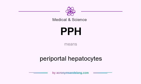 What does PPH mean? It stands for periportal hepatocytes