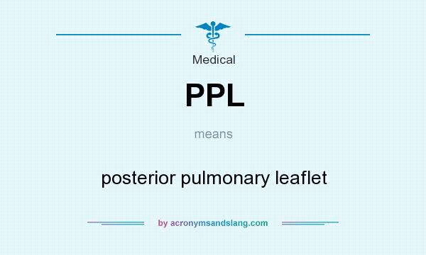 What does PPL mean? It stands for posterior pulmonary leaflet