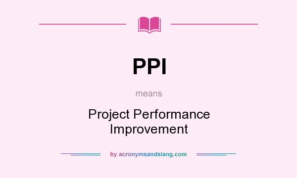 What does PPI mean? It stands for Project Performance Improvement