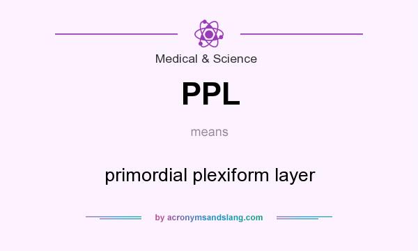 What does PPL mean? It stands for primordial plexiform layer