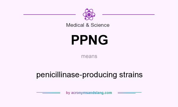 What does PPNG mean? It stands for penicillinase-producing strains