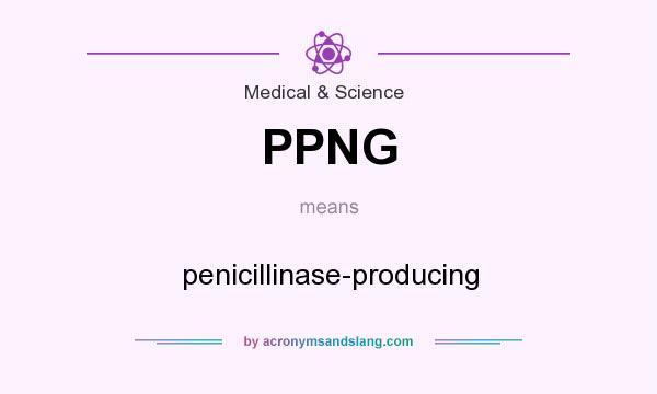 What does PPNG mean? It stands for penicillinase-producing