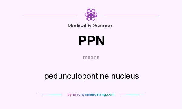 What does PPN mean? It stands for pedunculopontine nucleus